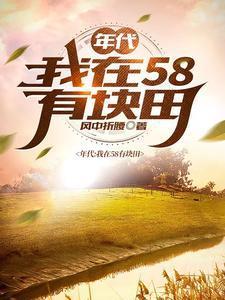 年代我在58有块田 全部章节