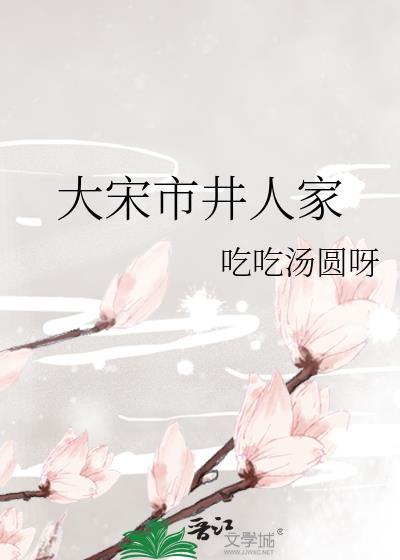 大宋市井人家完整版TXT