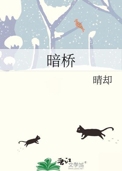 暗桥TXT免费阅读