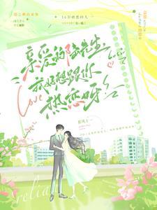 亲爱的陆先生在线阅读