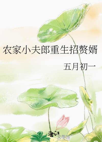 农家小夫郎重生招赘婿全集